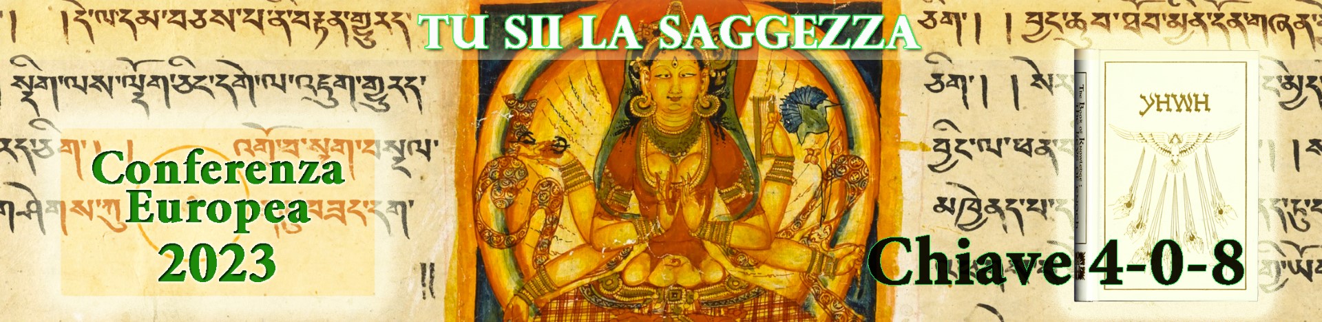 Dornbirn Banner 2023 IT Gro